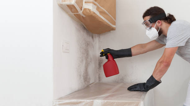 Professional Attic Mold Remediation technician working in Plainfield, IL