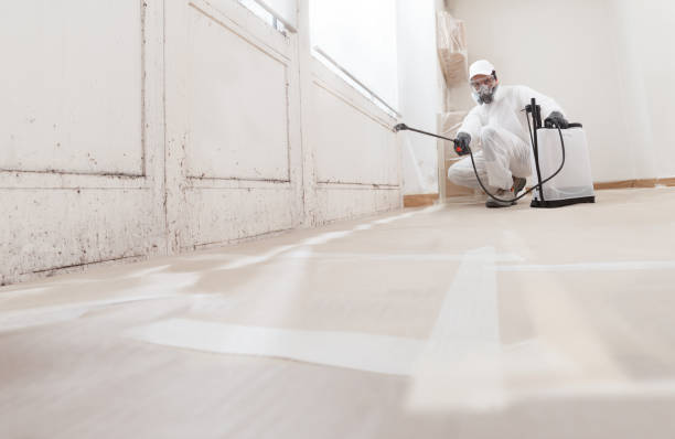 24/7 Emergency Attic Mold Remediation experts in Plainfield, IL