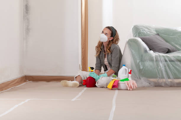 Reliable Attic Mold Remediation contractor in Plainfield, IL by 24 Hour Mold Removal
